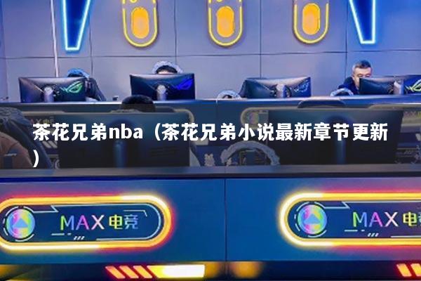 茶花兄弟nba（茶花兄弟小说最新章节更新）