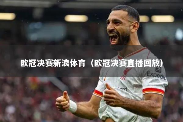 欧冠决赛新浪体育(欧冠决赛直播回放)