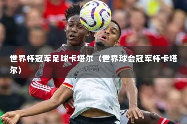 世界杯冠军足球卡塔尔（世界球会冠军杯卡塔尔）