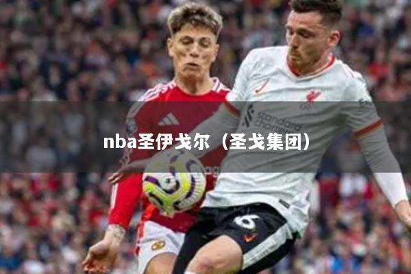 nba圣伊戈尔（圣戈集团）
