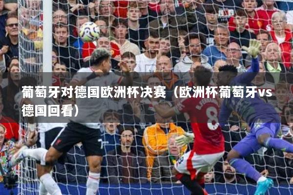 葡萄牙对德国欧洲杯决赛（欧洲杯葡萄牙vs德国回看）