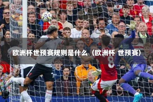 欧洲杯世预赛规则是什么（欧洲杯 世预赛）