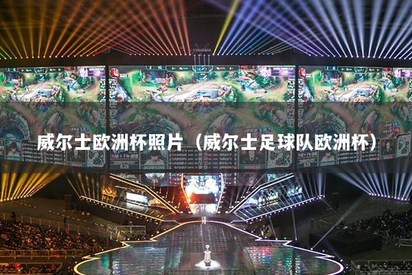 威尔士欧洲杯照片（威尔士足球队欧洲杯）