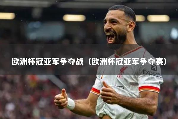 欧洲杯冠亚军争夺战（欧洲杯冠亚军争夺赛）